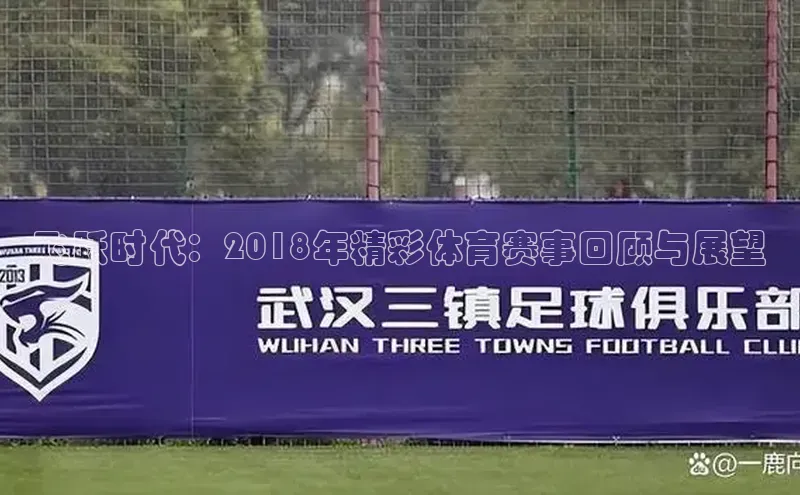 飞跃时代：2018年精彩体育赛事回顾与展望