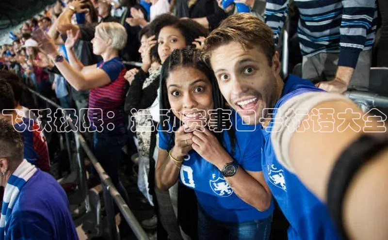 非凡体育官网入口