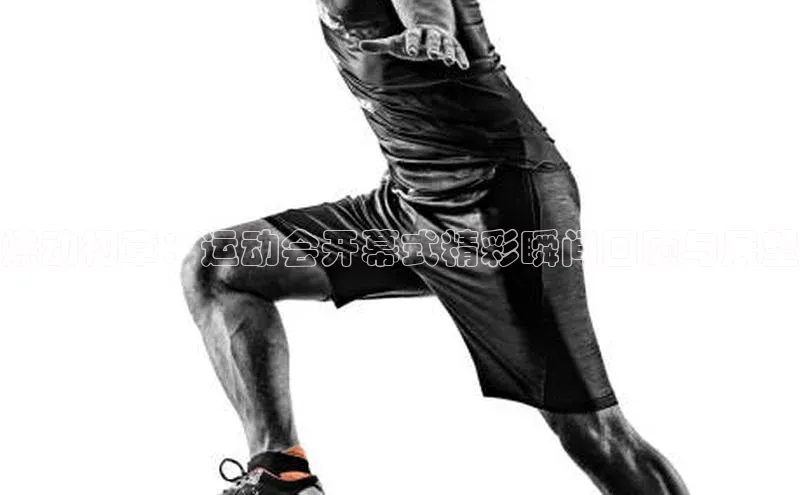 非凡体育平台登录入口