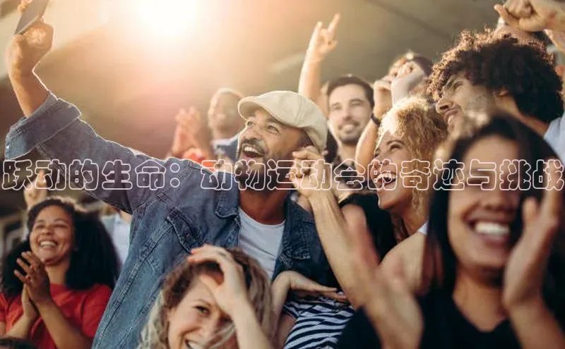 非凡电子游戏平台