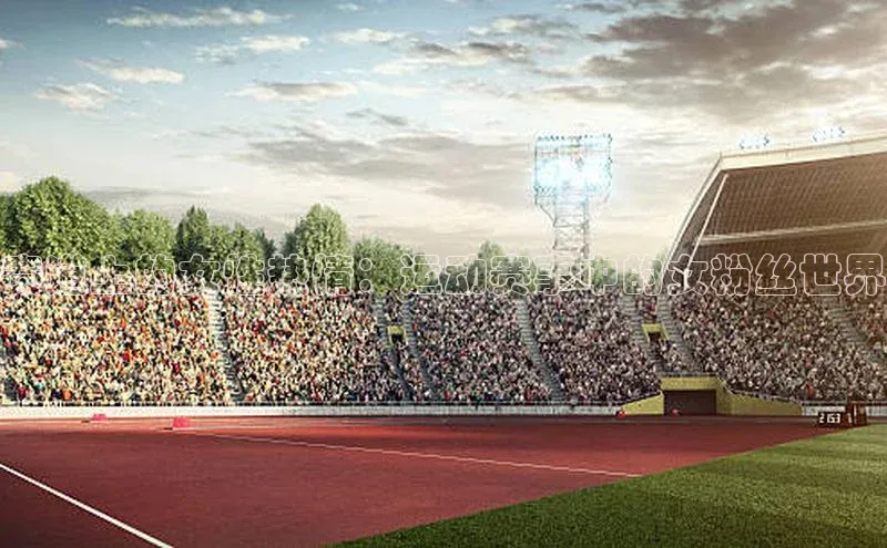 赛道上的女性热情：运动赛事中的女粉丝世界